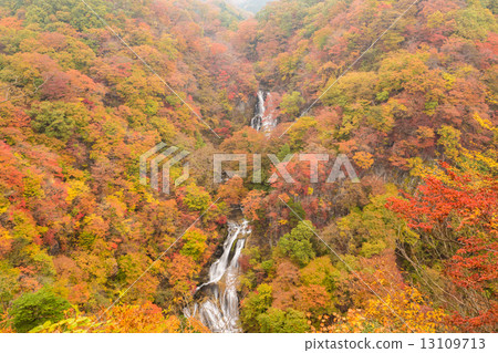 Kirifuri Falls in autumn colors Kirifuri Falls in autumn colors 13109713
