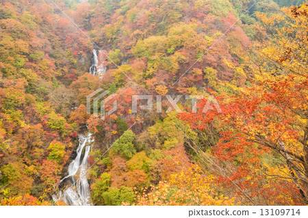 Kirifuri Falls in autumn colors 13109714