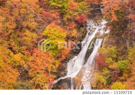 秋葉霧秋天瀑布 秋葉霧秋天瀑布 13109719