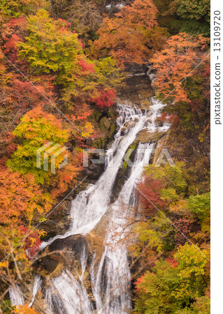 秋葉霧秋天瀑布 秋葉霧秋天瀑布 13109720