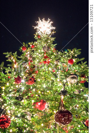 聖誕樹 聖誕樹 13109721