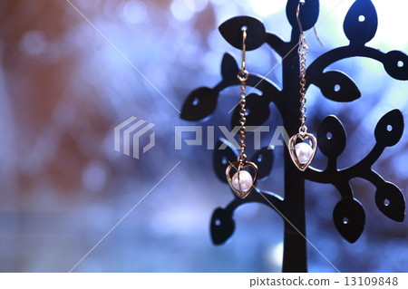 Earrings 13109848