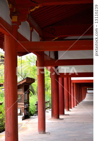 Todaiji Temple of Great Buddha (Important Cultural Property) 13110239