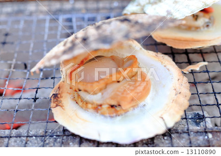 Grilled scallops Grilled scallops 13110890