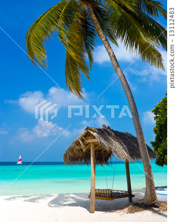 Swing on a tropical beach Swing on a tropical beach 13112483