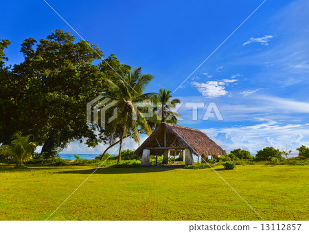 Canopy at tropical beach 13112857