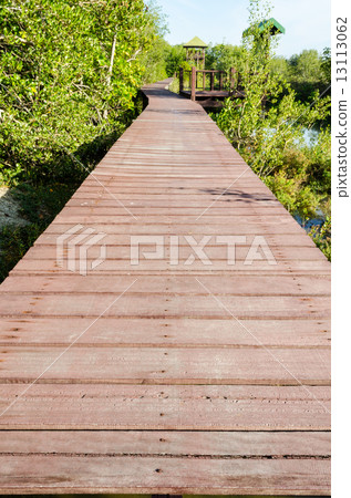Wood bridge in mangroves 13113062