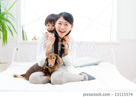 Pet and baby 13113374