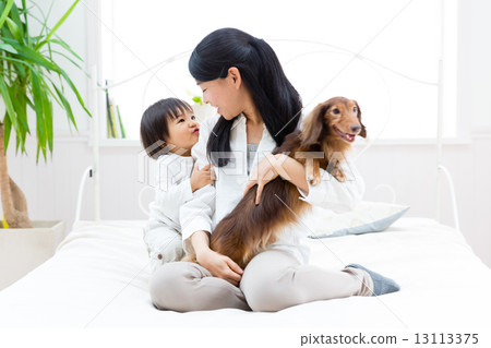 寵物和嬰兒 寵物和嬰兒 13113375