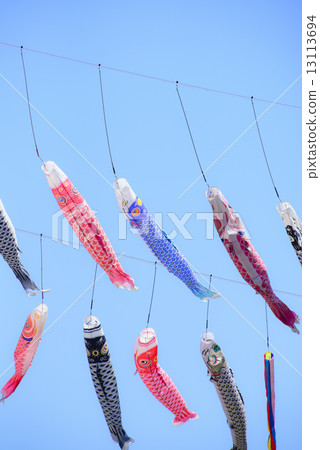 Carp streamer Carp streamer 13113694