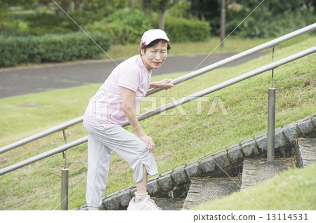 Senior woman climbing stairs Senior woman climbing stairs 13114531