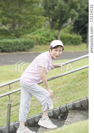 Senior woman climbing stairs 13114532