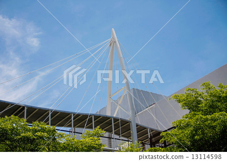 suspension bridge 13114598