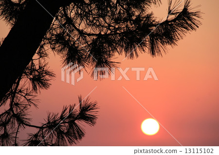 Matsushita sunset 13115102