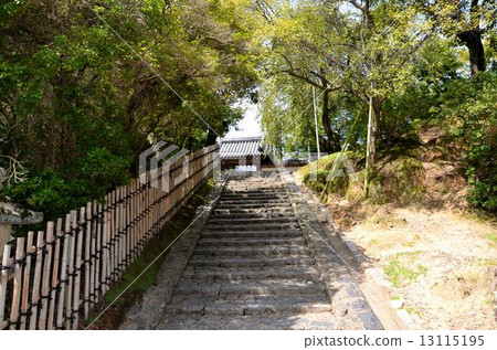 東大寺寺院內的風景 東大寺寺院內的風景 13115195
