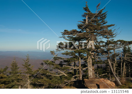 Appalachian Mountains from Mount Mitchell, the highest point in 13115546