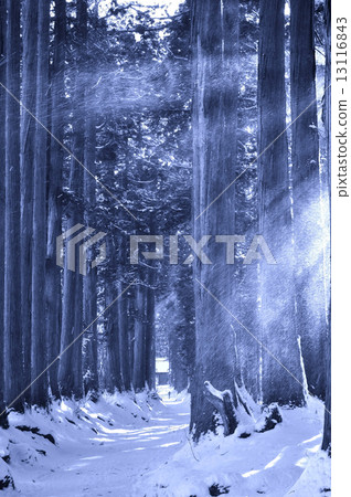 Road to Togakushi and Okusha 13116843