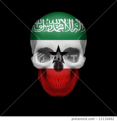 Somaliland flag skull Somaliland flag skull 13116882