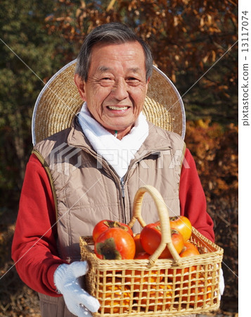 Upwards old man of straw hat with persimmon Upwards old man of straw hat with persimmon 13117074