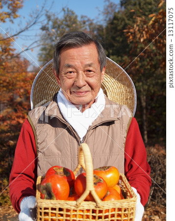 Old grandfather of straw hat with persimmon Front up Old grandfather of straw hat with persimmon Front up 13117075