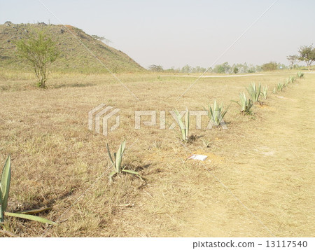 旱地和公路（Jar plain / Laos） 13117540