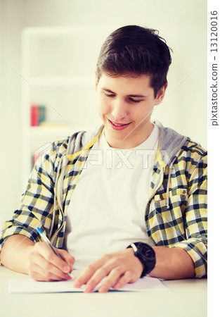 smiling student with textbooks at school smiling student with textbooks at school 13120016