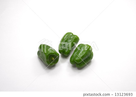蔬菜青椒 蔬菜青椒 13123693