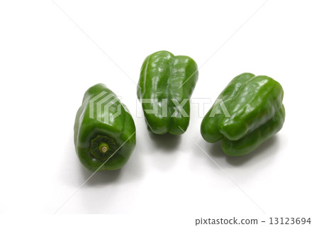 蔬菜青椒 蔬菜青椒 13123694