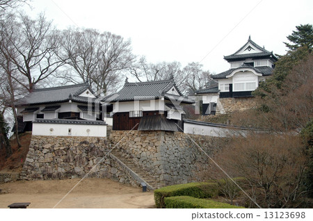 Bitchu Matsuyama Castle 13123698