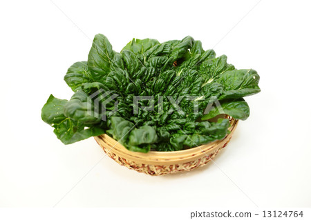 Tursai packed in the basket Tursai packed in the basket 13124764