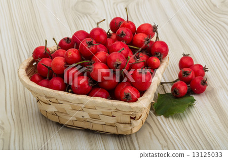 Hawthorn Hawthorn 13125033