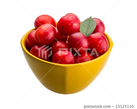 Damson plum 13125110