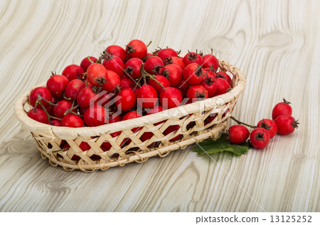 Hawthorn Hawthorn 13125252