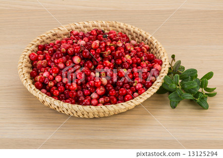 Cowberry Cowberry 13125294