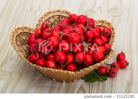 Hawthorn 13125295