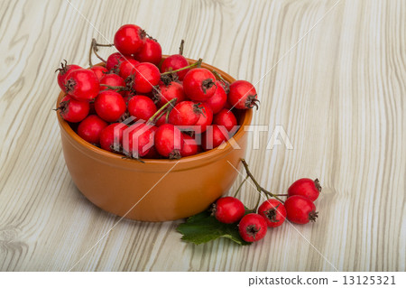 Hawthorn Hawthorn 13125321