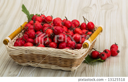 Hawthorn 13125518