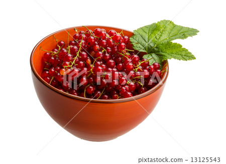 Red currant 13125543