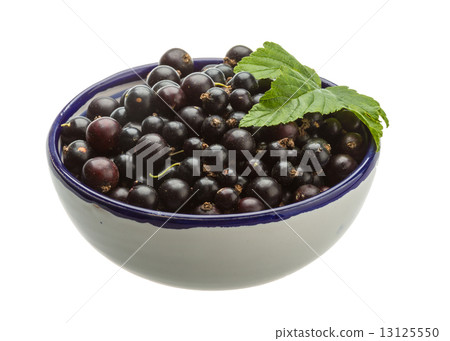 Black currant 13125550