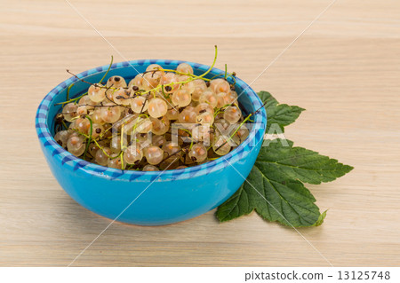 White currant White currant 13125748