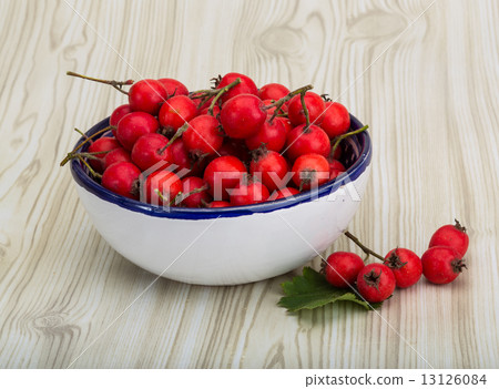 Hawthorn 13126084