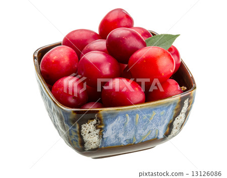 Damson plum Damson plum 13126086