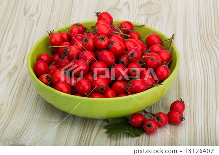 Hawthorn Hawthorn 13126407