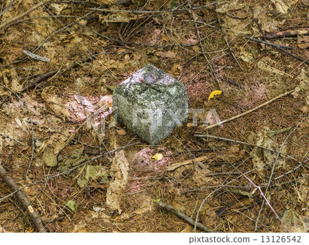 Boundary pile 13126542
