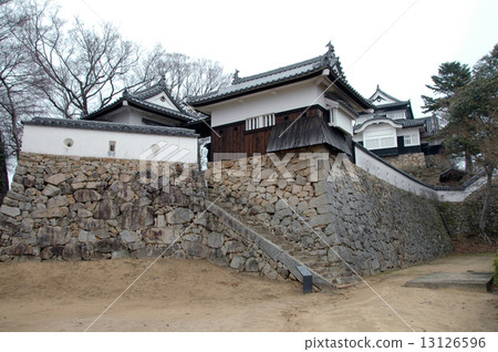 Bitchu Matsuyama Castle 13126596