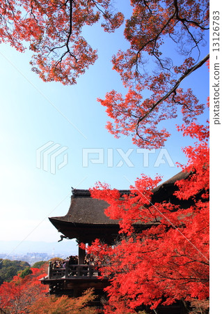 November Kyoto-Miyuji temple, autumn leaves November Kyoto-Miyuji temple, autumn leaves 13126783