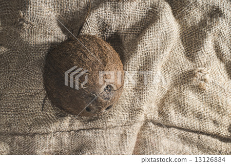 Coconut on burlap 13126884