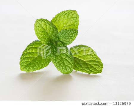 Green apple mint 13126979