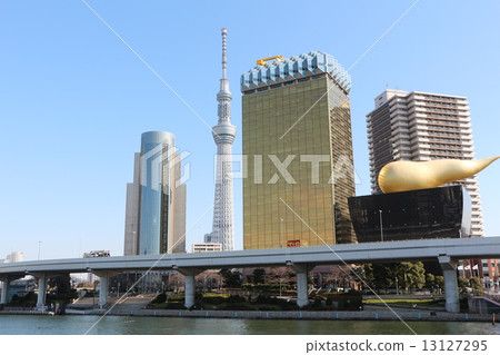 天空樹 天空樹 13127295