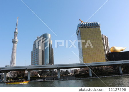 天空樹 天空樹 13127296